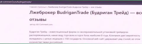 Автор обзора мошеннических деяний утверждает, что работая с компанией Budrigan Ltd, Вы можете потерять вложения