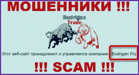 Данные о юридическом лице BudriganTrade на их официальном информационном сервисе имеются - это Budrigan Ltd