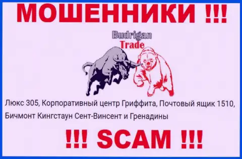 БУДЬТЕ БДИТЕЛЬНЫ, Budrigan Ltd засели в оффшоре по адресу: Suite 305, Griffith Corporate Centre, P.O. Box 1510,Beachmont Kingstown, Saint Vincent and the Grenadines и оттуда отжимают финансовые активы