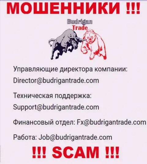 Не пишите на адрес электронного ящика BudriganTrade - это internet-кидалы, которые присваивают финансовые средства доверчивых клиентов