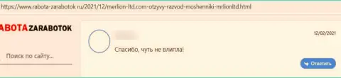 Мерлион - это ЛОХОТРОНЩИКИ !!! Испытывать это на своем опыте не надо - отзыв