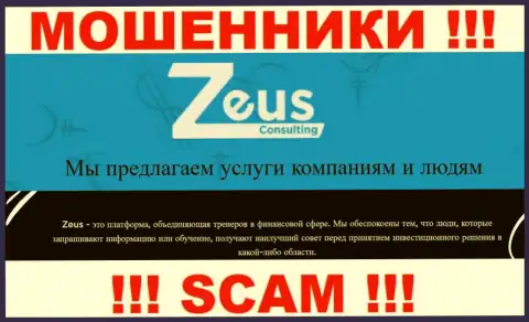 Вид деятельности обманщиков ЗевсКонсалтинг Инфо - это Consulting, однако помните это развод !!!