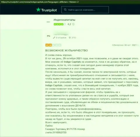 Противозаконно действующая компания Indigo Capitals обувает абсолютно всех клиентов (высказывание)