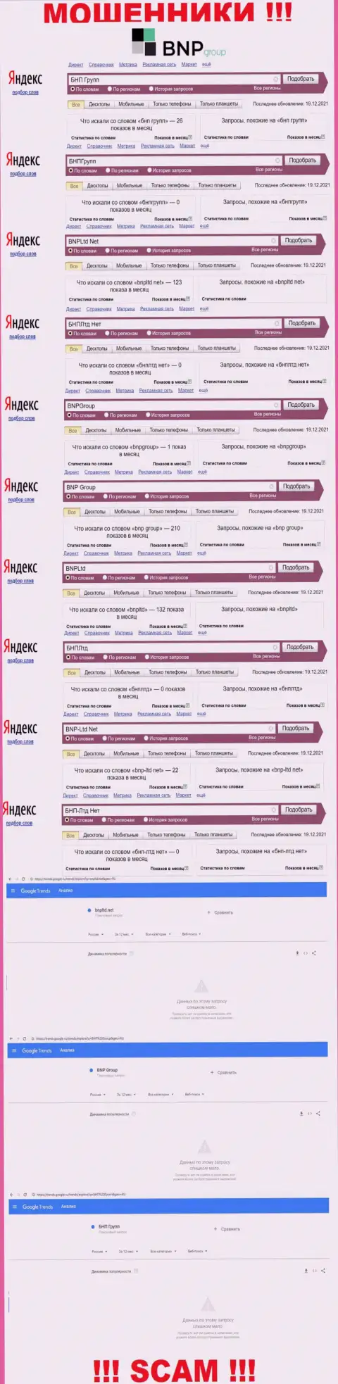 Статистические данные по бренду BNP-Ltd Net, сколько конкретно лохов заинтересовались данными лохотронщиками