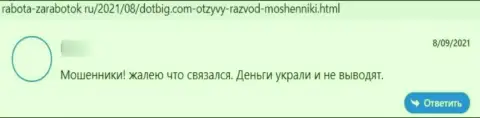 Автора реального отзыва обокрали в конторе ДотБиг, отжав все его денежные вложения