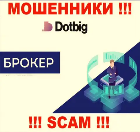 ДотБиг ЛТД - это МОШЕННИКИ, направление деятельности которых - Broker