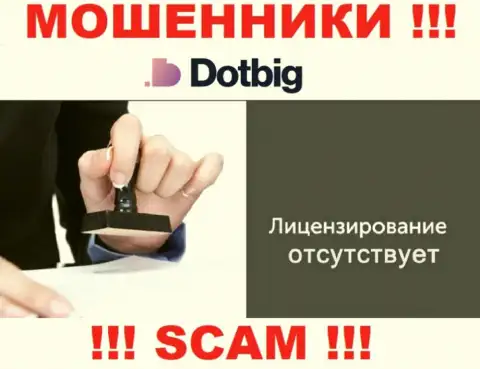 Данных о лицензии на осуществление деятельности конторы Dot Big на ее официальном интернет-сервисе НЕ засвечено