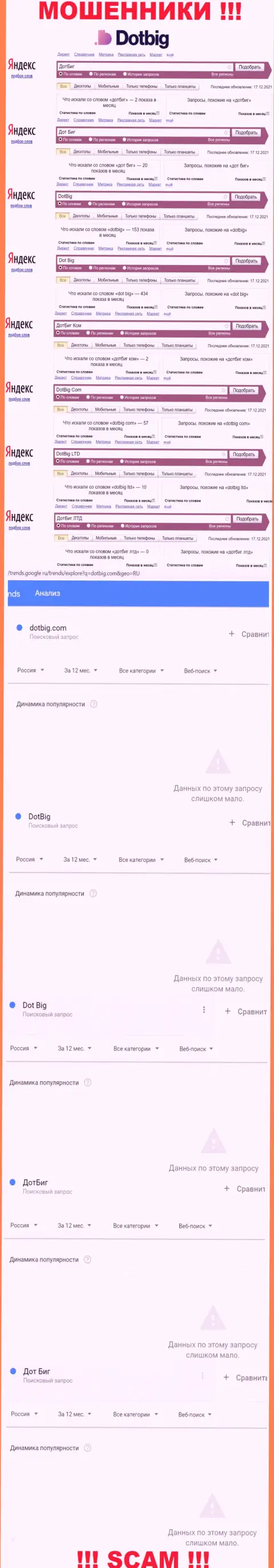 Информация о брендовых онлайн-запросах касательно интернет мошенников ДотБиг ЛТД