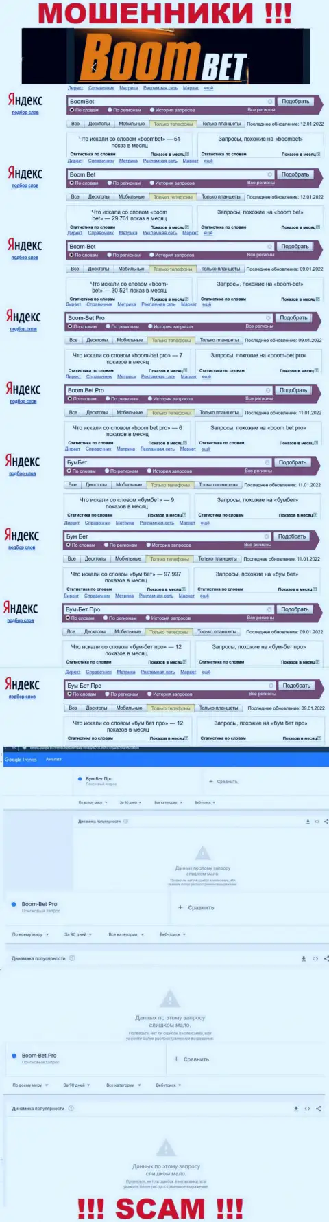 Статистические показатели количества поисковых запросов во всемирной интернет сети по лохотронщикам Бум Бет