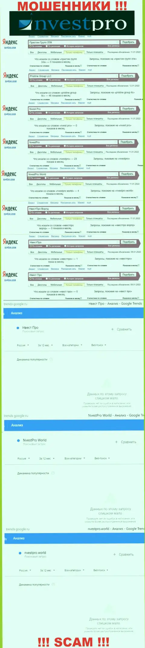 Статистика онлайн запросов по мошенникам NvestPro во всемирной сети Интернет