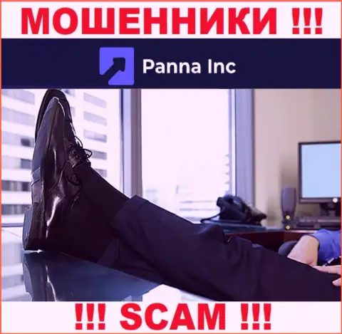 Абсолютно никаких данных о своем прямом руководстве, internet лохотронщики Panna Inc не сообщают