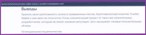 TrusteeGlobal Com - это очередной лохотрон, на который вестись довольно опасно (обзор организации)