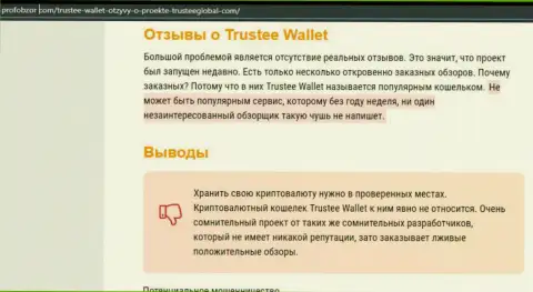 TrusteeGlobal Com - это АФЕРИСТЫ !!! Отжимают денежные средства лохов (обзор мошенничества)