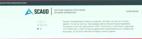 Честный отзыв доверчивого клиента организации Trustee Wallet, советующего ни при каких обстоятельствах не сотрудничать с этими интернет-мошенниками