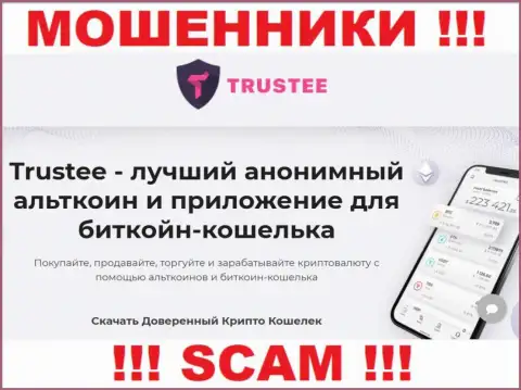 TrusteeGlobal Com - типичные ворюги, тип деятельности которых - Крипто кошелёк