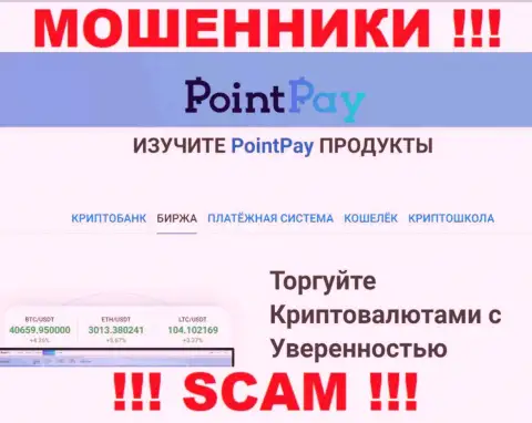 Так как деятельность интернет мошенников Point Pay - это сплошной обман, лучше взаимодействия с ними избежать