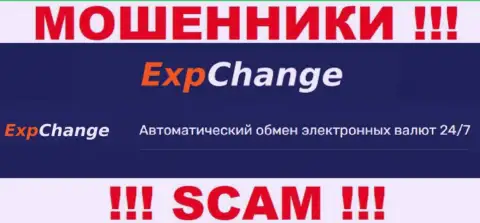 Криптовалютный обменник - это то на чем, якобы, профилируются аферисты ExpChange Ru