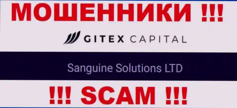 Юридическое лицо Gitex Capital - это Sanguine Solutions LTD, такую инфу предоставили мошенники у себя на веб-сайте