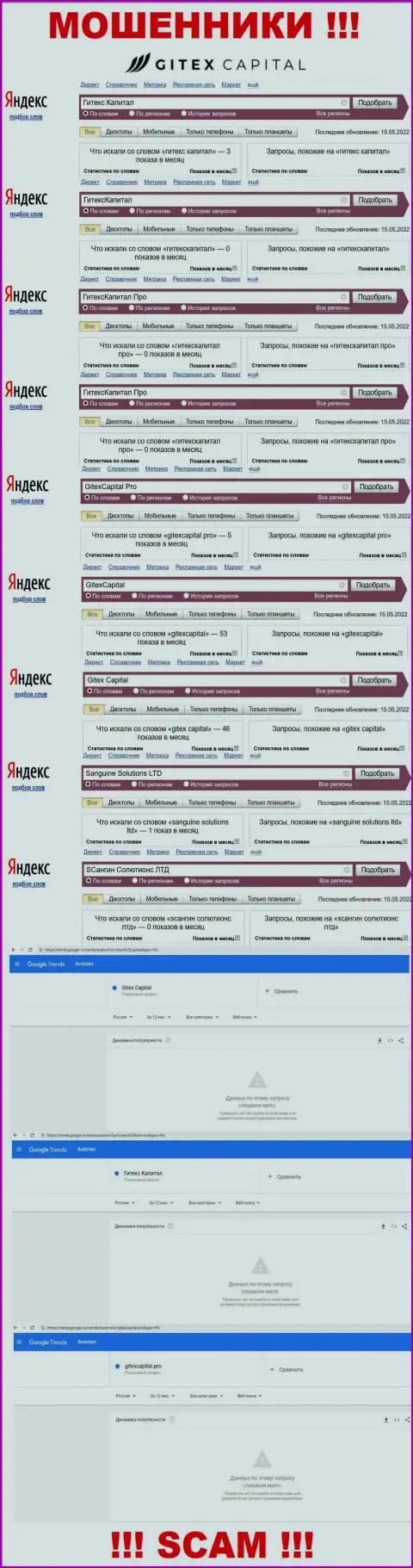 Статистические сведения брендовых запросов по преступно действующей организации Gitex Capital