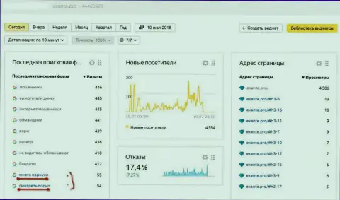 Воры ЭКСАНТ проводят ДДос-атаки на сервер web-ресурса EXANTE Pro