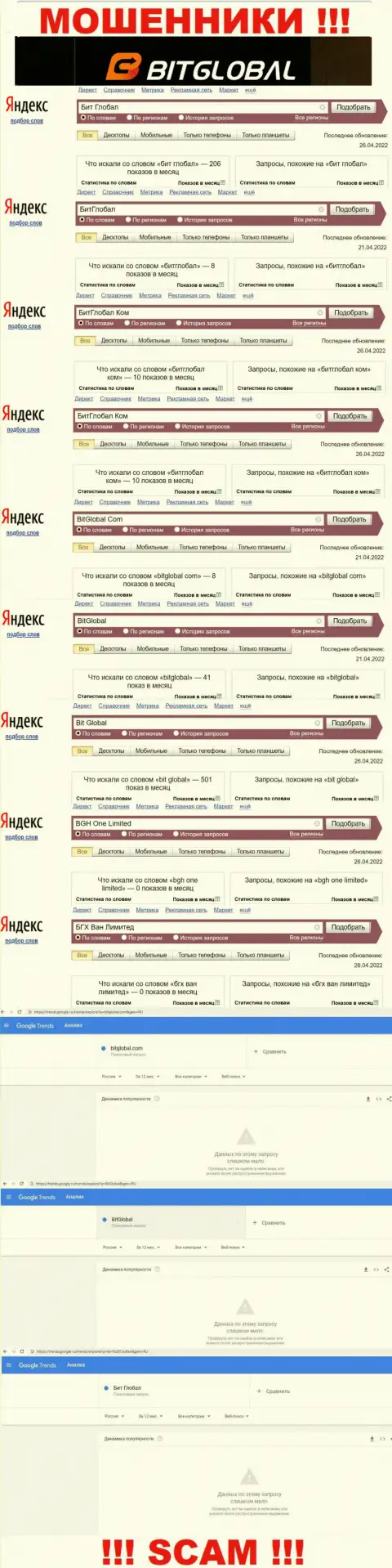 Детальная информация по количеству онлайн-запросов по разводилам Бит Глобал в глобальной сети интернет