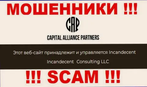 Юридическим лицом, владеющим интернет-ворюгами CAPartners, является Consulting LLC