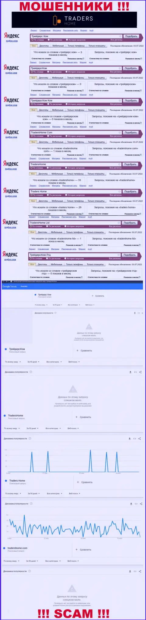 Сколько раз интересовались обманщиками Traders Home в интернет поисковиках ?
