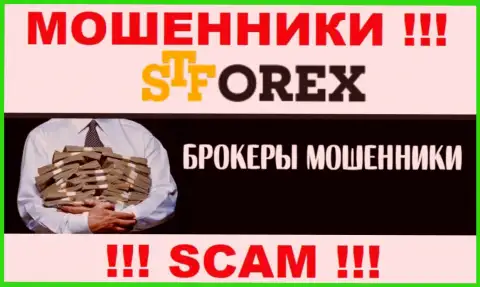 Мошенники ST Forex только лишь задуривают мозги биржевым трейдерам, гарантируя баснословную прибыль