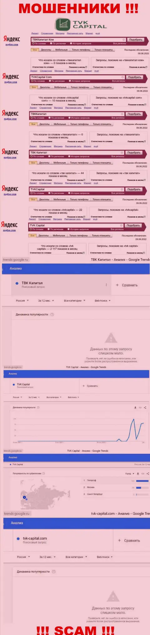 Статистические данные о запросах в поисковиках всемирной интернет паутины сведений о компании TVKCapital Com