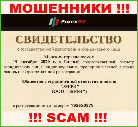 Регистрационный номер жульнической конторы Forex BY - 192530878