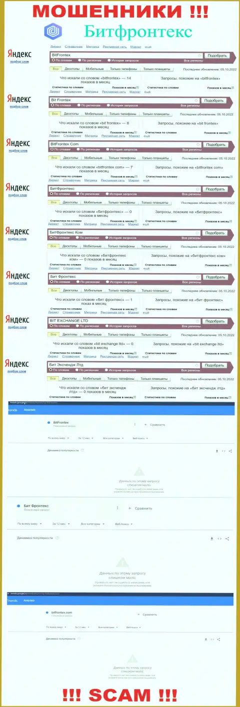 Число поисковых запросов по internet-мошенникам BitFrontex Com