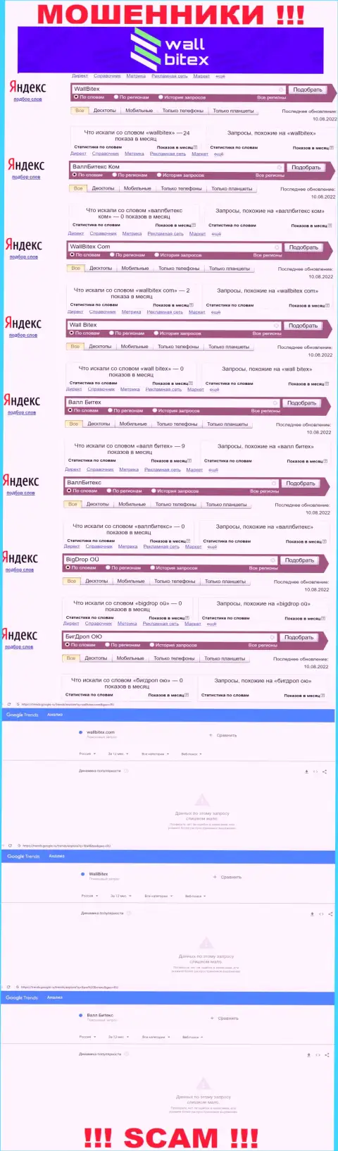 Статистика по бренду БигДроп ОЮ, сколько конкретно лохов заинтересовались данными интернет-мошенниками