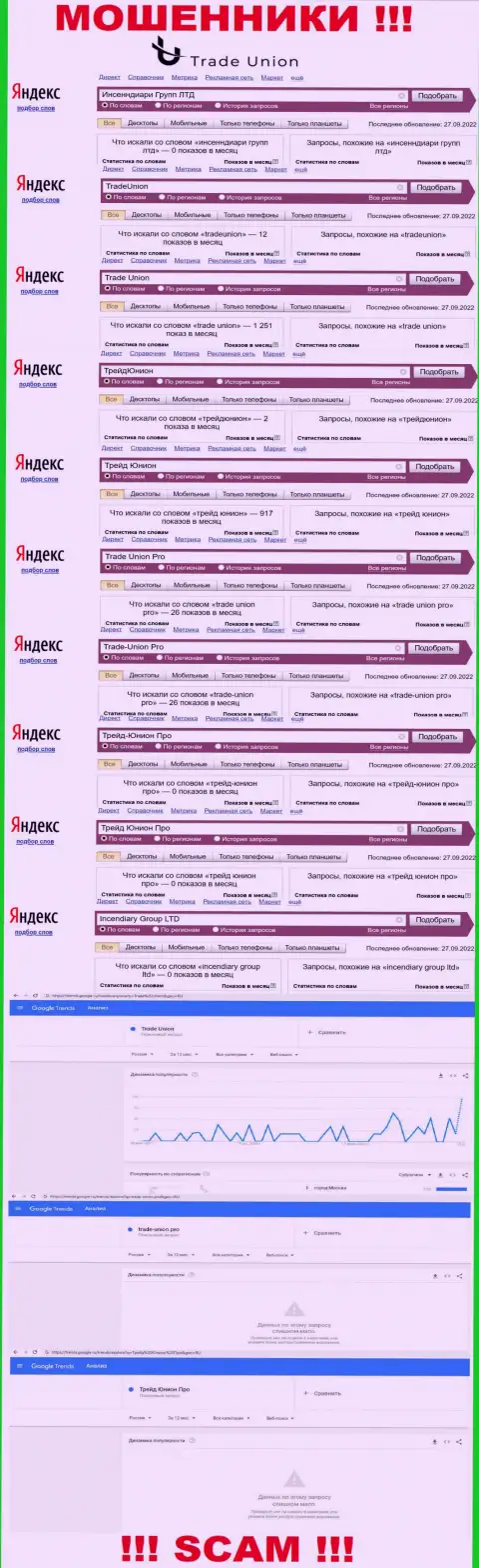 Онлайн-запросы по мошенникам Трейд Юнион