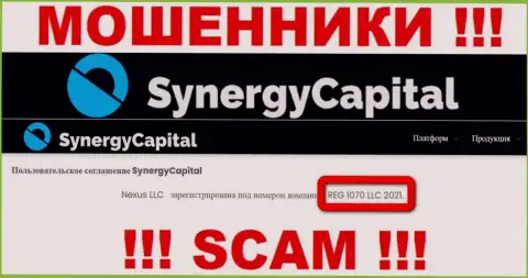 Номер регистрации конторы SynergyCapital Top: REG 1070 LLC 2021