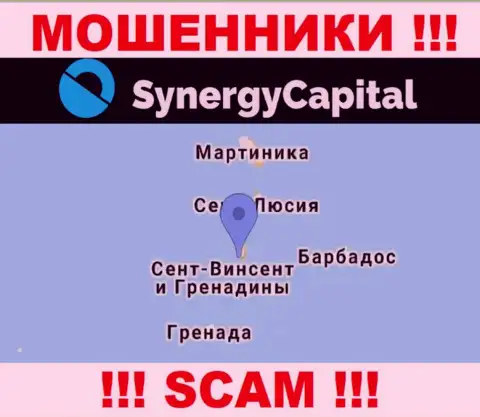 У себя на информационном сервисе Synergy Capital написали, что зарегистрированы они на территории - Kingstown, St. Vincent and the Grenadines