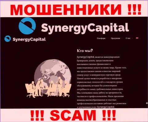 Что касается вида деятельности SynergyCapital Top (Брокер) - это очевидно развод