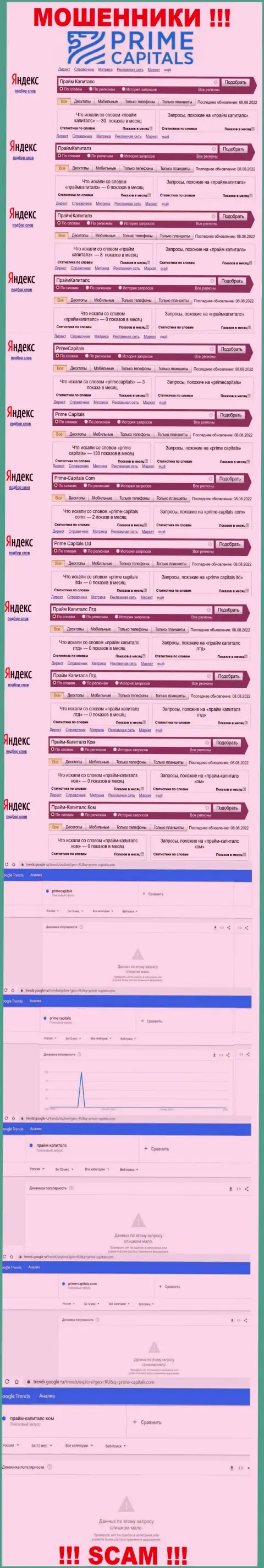 Суммарное число онлайн-запросов по жуликам Prime Capitals в глобальной сети internet