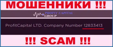 Номер регистрации Profit Capital Group, который показан мошенниками на их сайте: 12833413