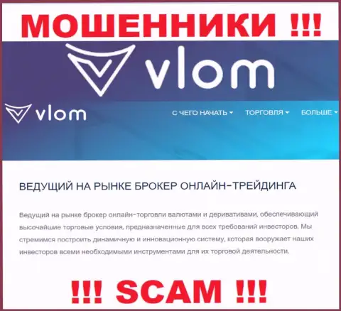 Направление деятельности противозаконно действующей организации Vlom - это Брокер