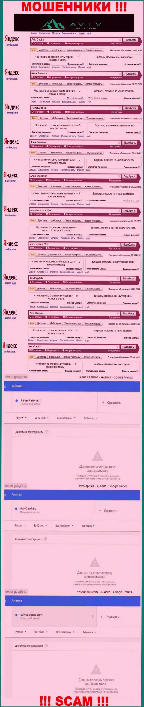 Статистические показатели поиска информации о бессовестных интернет-мошенниках Aviv Capitals