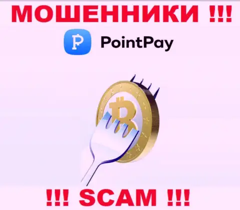 Дохода с брокерской конторой Point Pay Вы не получите - не торопитесь вводить дополнительные финансовые средства