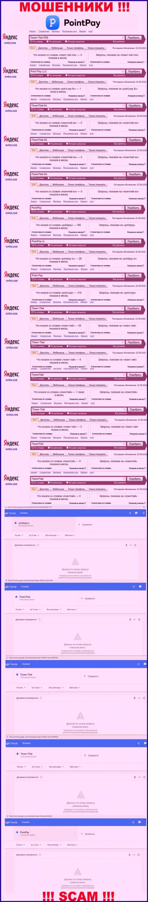 Статистические данные количества просмотров инфы о махинаторах Поинт Пей в интернет сети