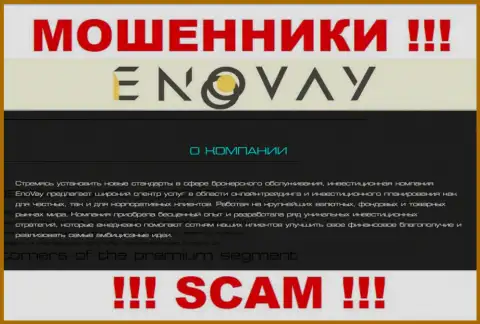 Так как деятельность internet-мошенников EnoVay Com - это сплошной обман, лучше будет совместного сотрудничества с ними избежать