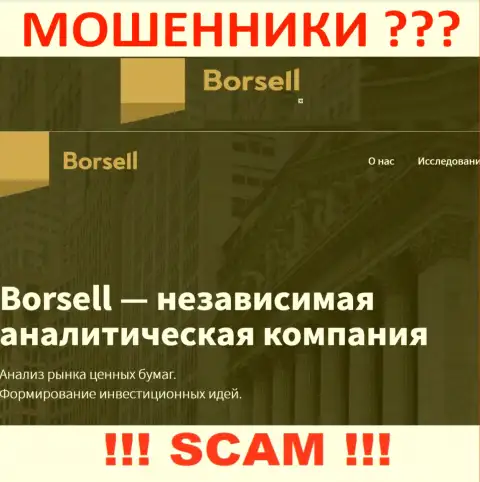 Что касательно области деятельности Borsell (Аналитика) - это очевидно кидалово