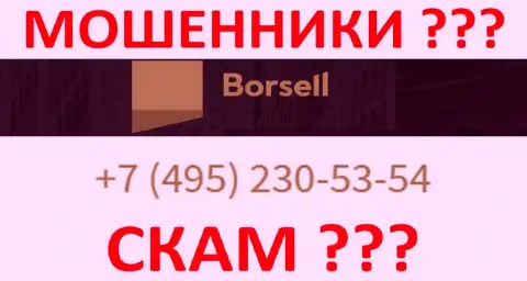 С какого номера телефона позвонят internet-мошенники из Borsell Ru неизвестно, у них их немало