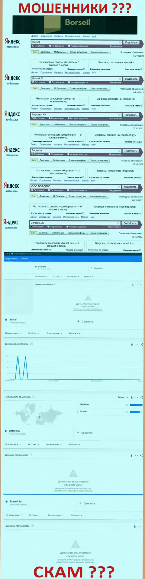 Анализ онлайн-запросов, относительно мошенников Borsell, в глобальной сети