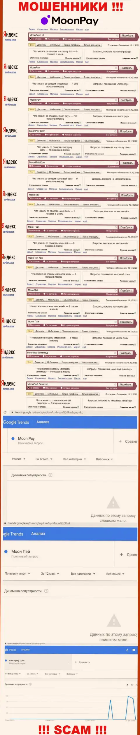 Число поисковых запросов во всемирной интернет сети по бренду аферистов Moon Pay