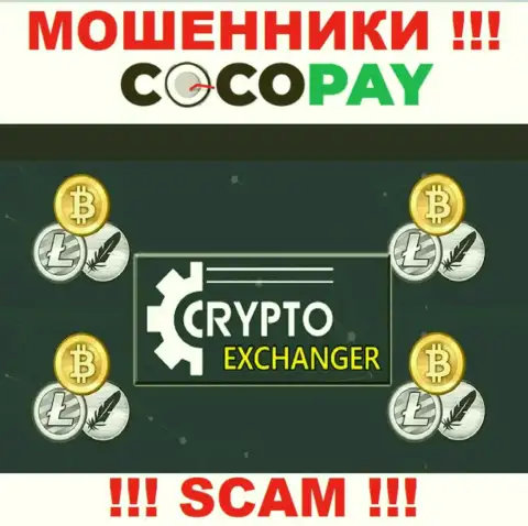 CocoPay - это ушлые internet мошенники, направление деятельности которых - Интернет-обменка