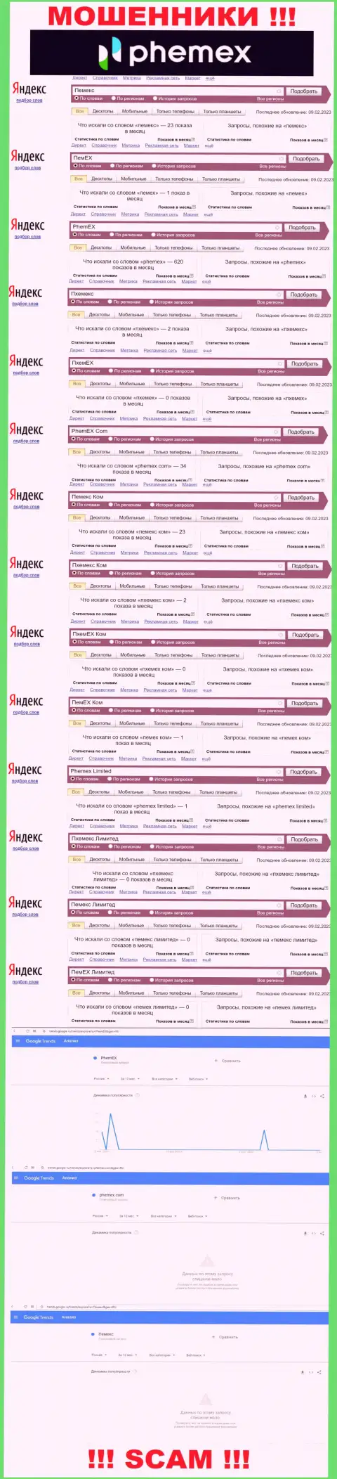 Детальная информация по количеству онлайн запросов по мошенникам PhemEX во всемирной сети Интернет