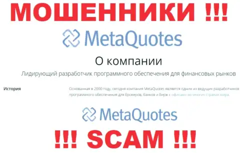 Разработка программного продукта - конкретно в указанном направлении предоставляют свои услуги интернет мошенники МетаКвотес